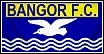 Bangor Flag New