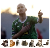 Ryan Catney Cats