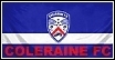 Coleraine Flag New