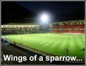 Wings Of A Sparrow