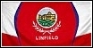 Linfield Flag New
